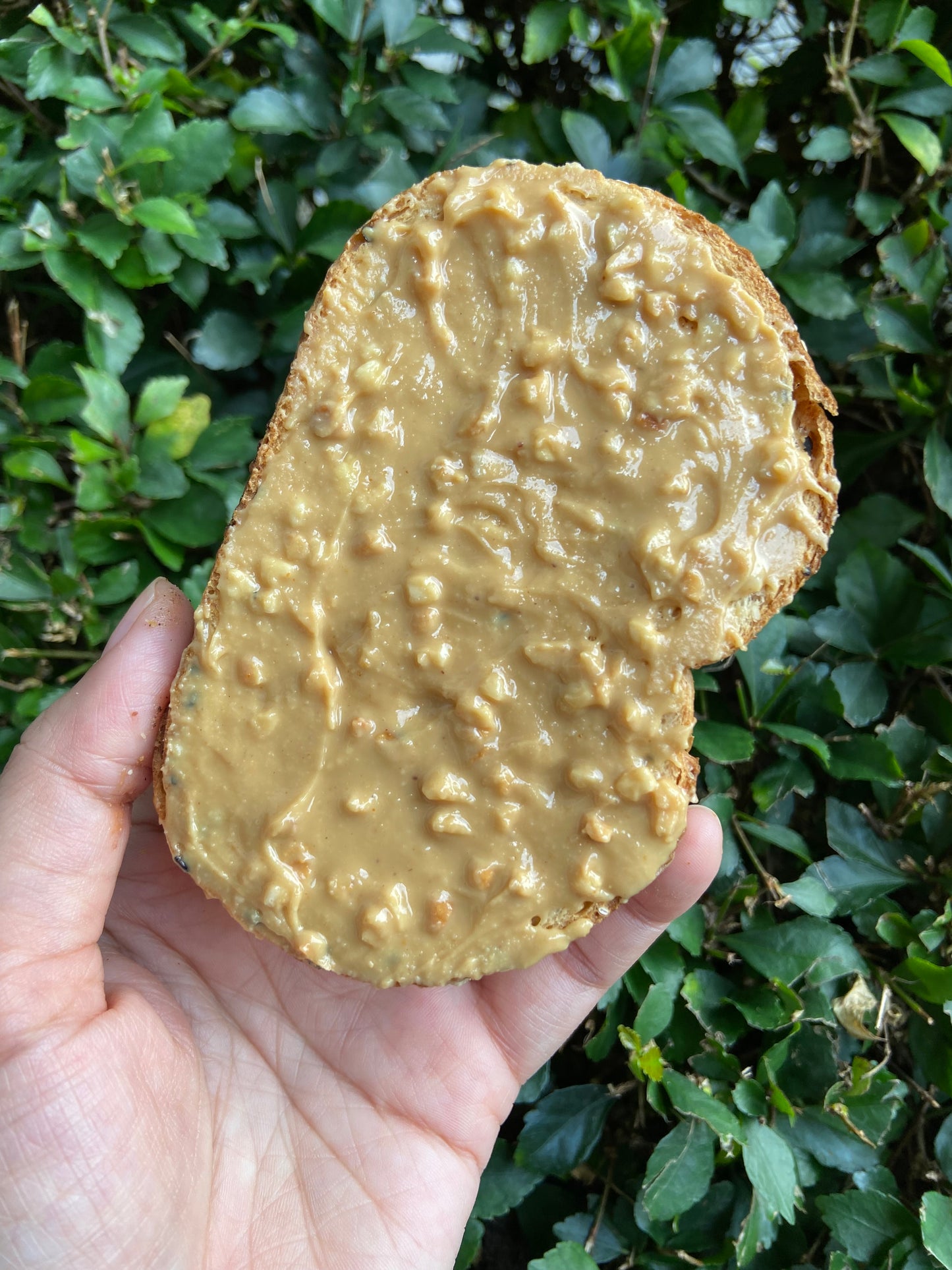 Chunky Peanut Butter