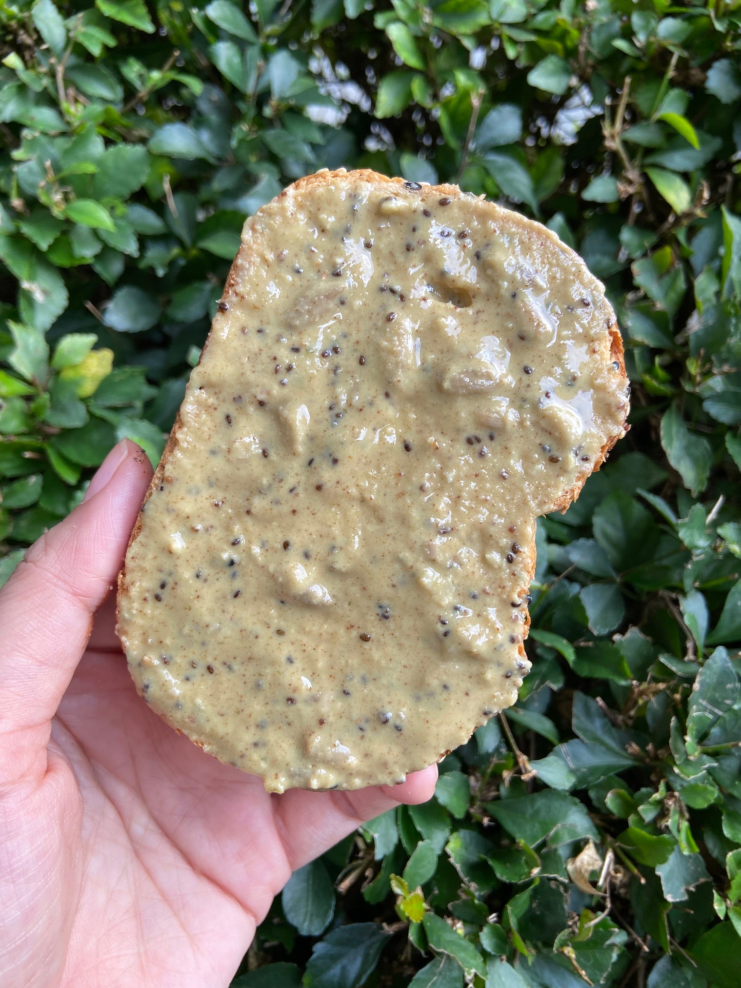 Multiseed Peanut Butter (plant protein)